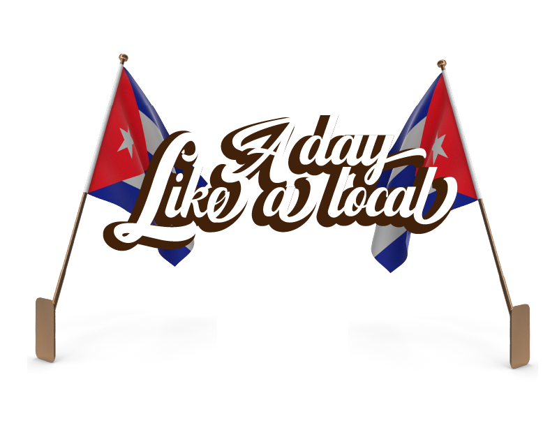 Local Tour Logo